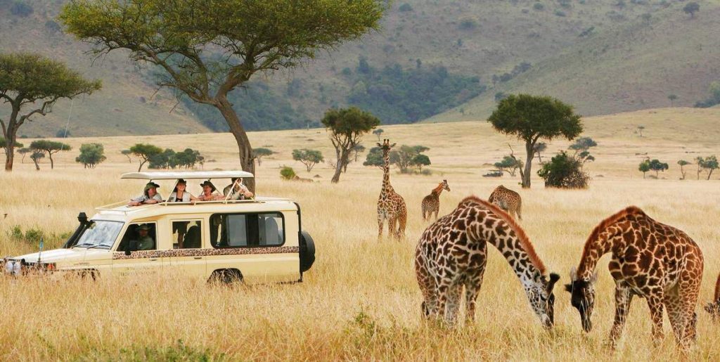 Tanzania-combined-safari