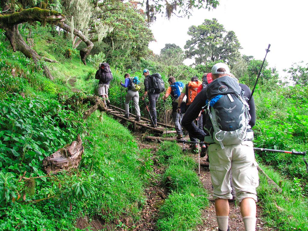 Hikers embarking on the 3 Days Mount Meru Climbing adventure through Arusha National Park toward Tanzania’s second-highest peak.