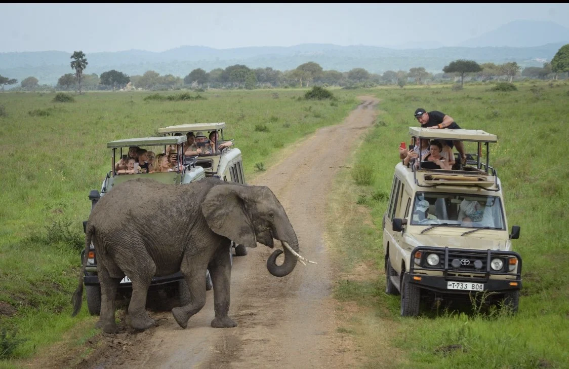 Travelers enjoying the 3 Days Tarangire Ngorongoro and Lake Manyara Safari while exploring Tanzania’s iconic wildlife parks and diverse landscapes.