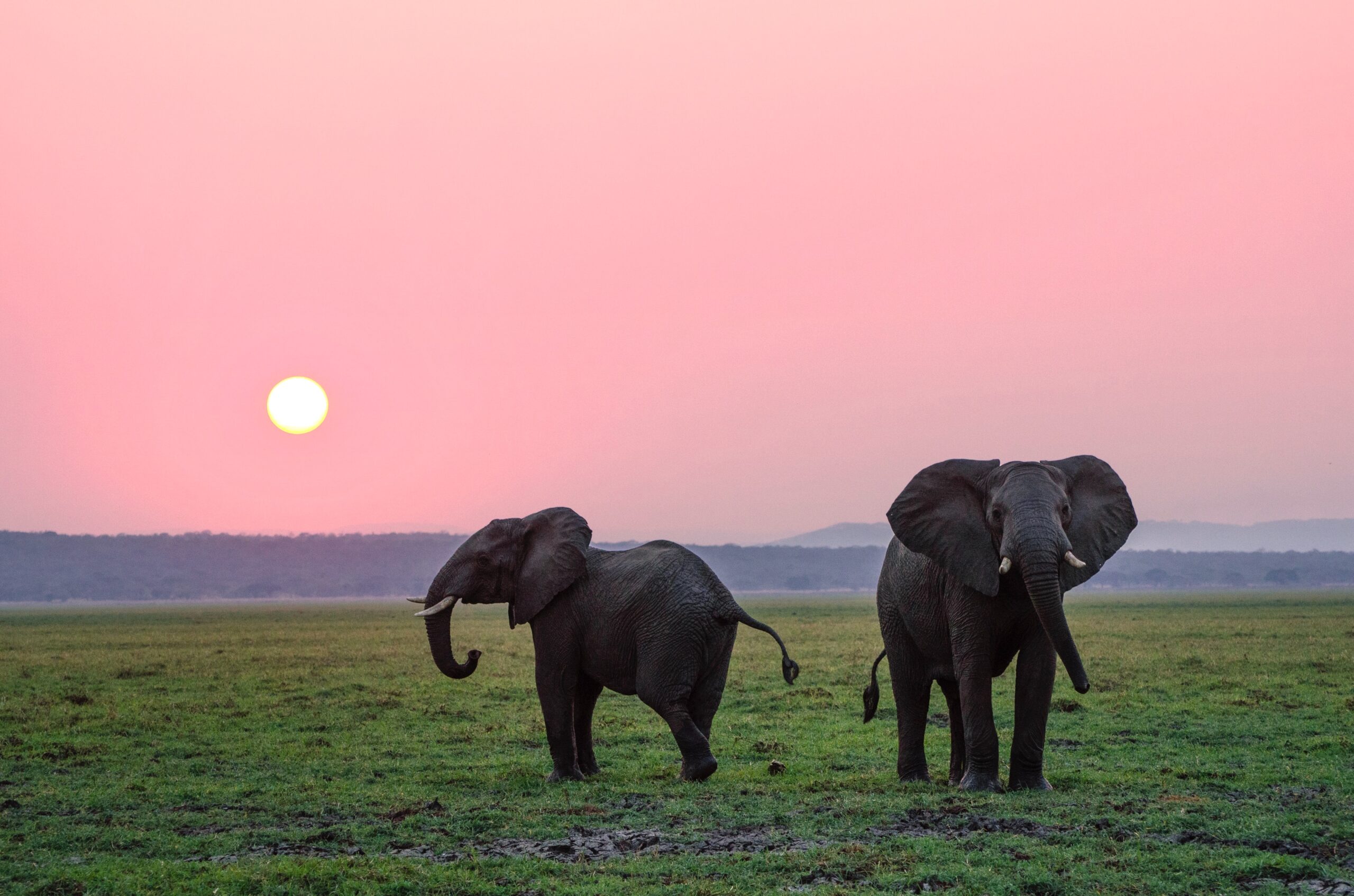 Travelers enjoying the 4 Day Tour Tarangire, Serengeti, Ngorongoro while experiencing Tanzania’s world-famous wildlife and breathtaking landscapes.