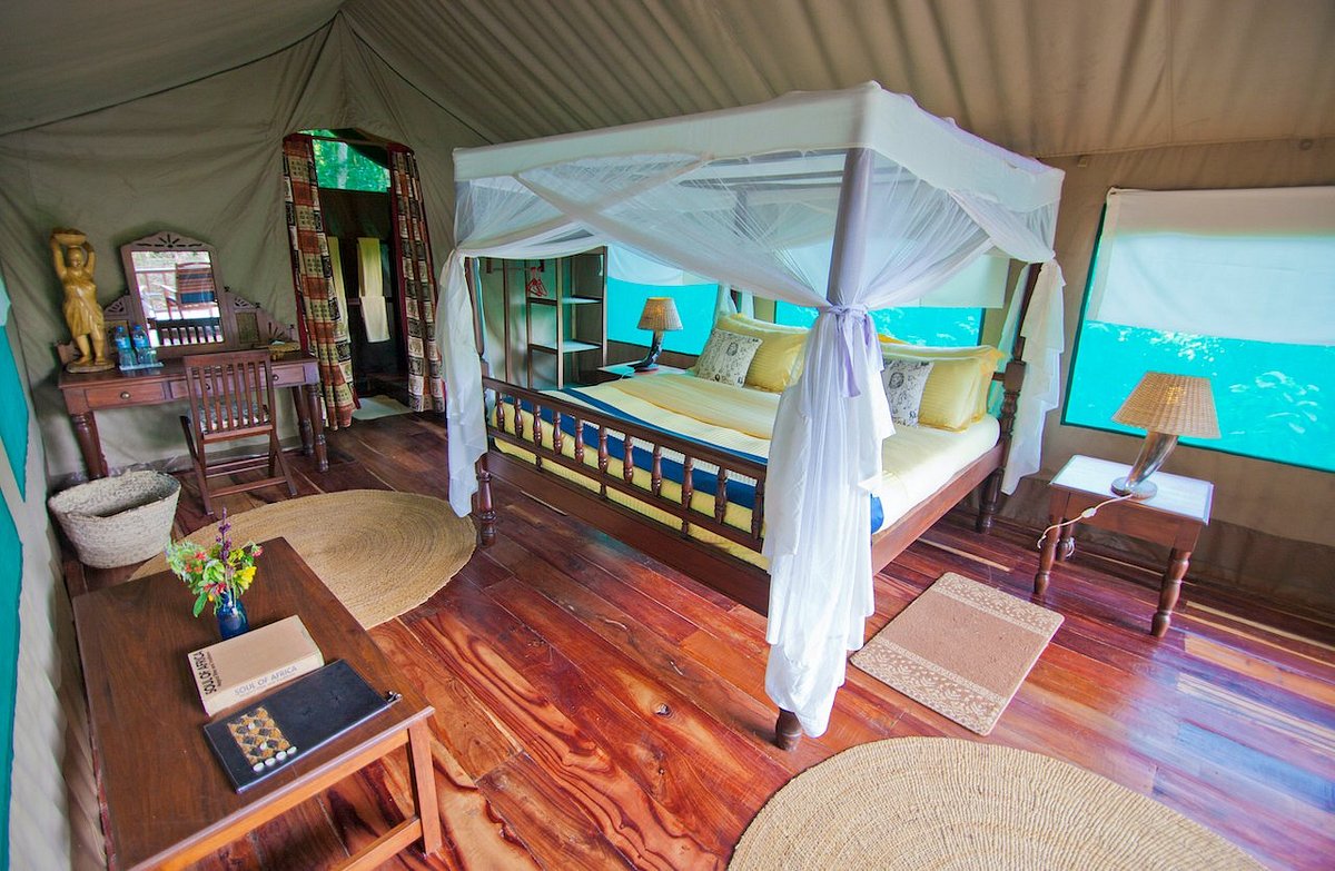 Gombe Accommodation surrounded by lush forest landscapes and scenic Lake Tanganyika views in Gombe Stream National Park Tanzania