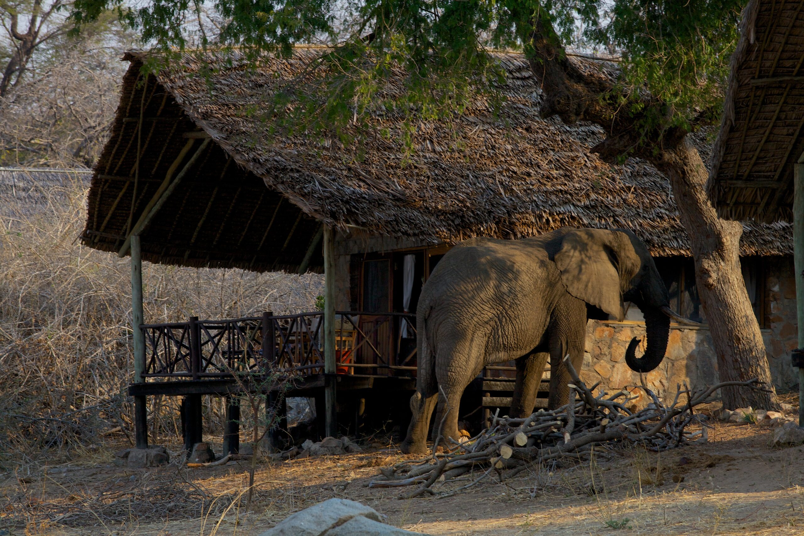 Ruaha River Lodge at Ruaha National Park surrounded by the wilderness and landscapes of southern Tanzania