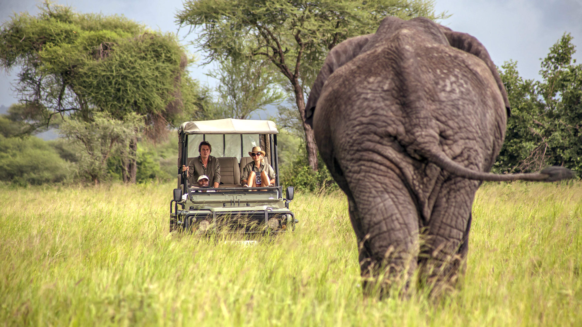 Tarangire Tour and Safaris with elephants, baobab trees, and diverse wildlife across the scenic landscapes of Tarangire National Park Tanzania